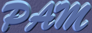 logoPAM
